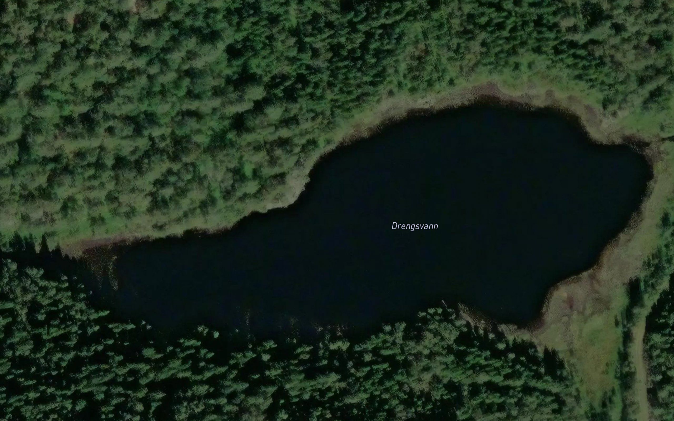 Drengsvann