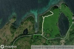 Skivika