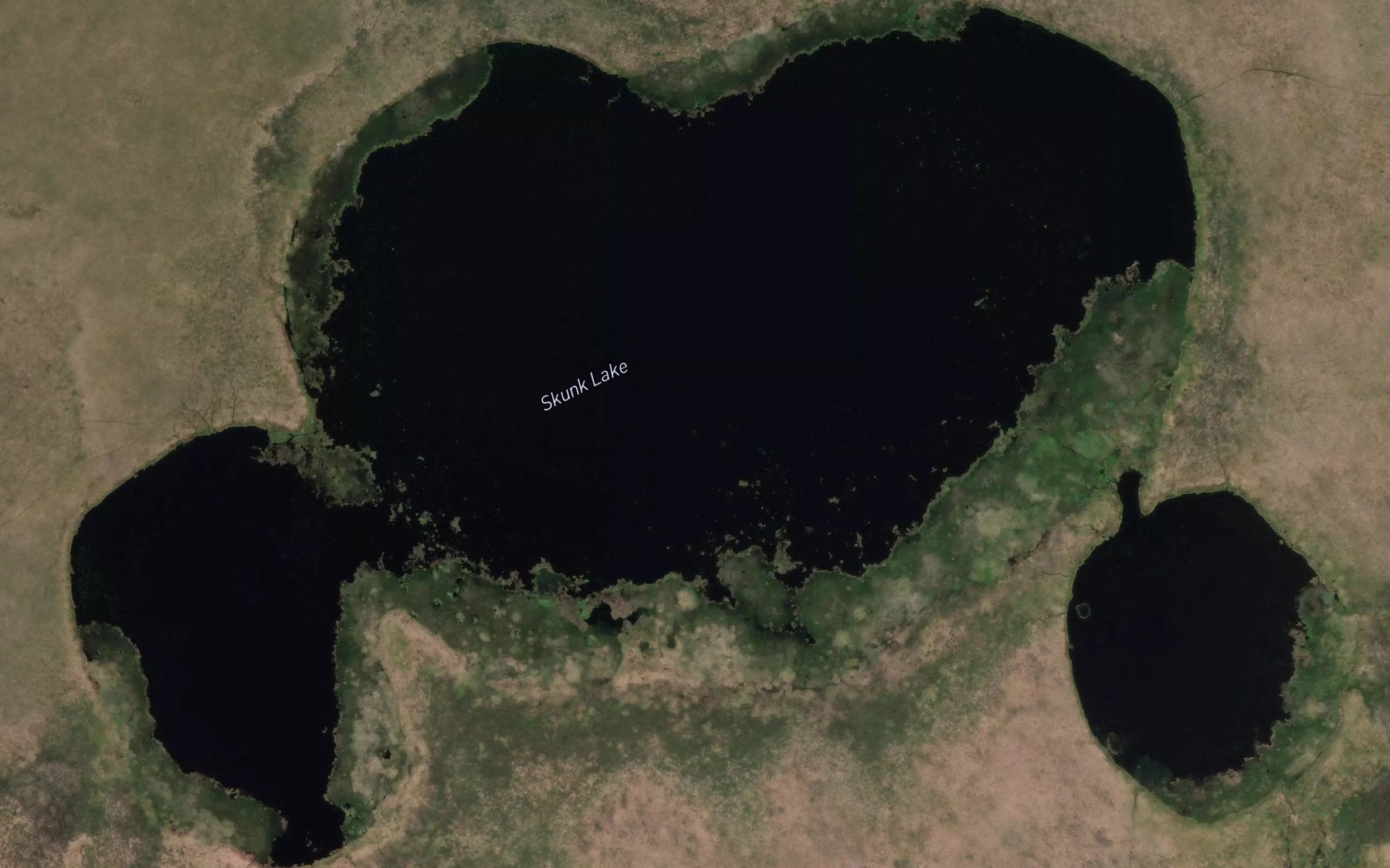 Satellite map of the Skunk Lake