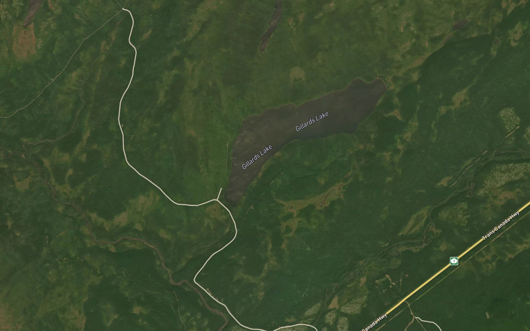 Satellite map of the Gillards Lake