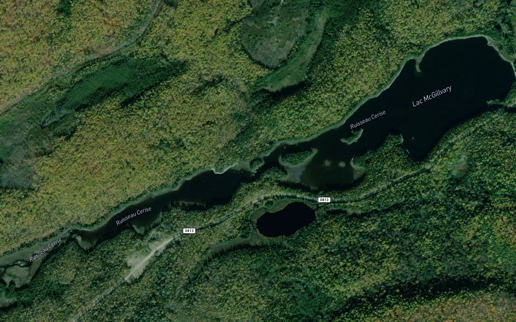 Satellite map of the Lac McGillvary