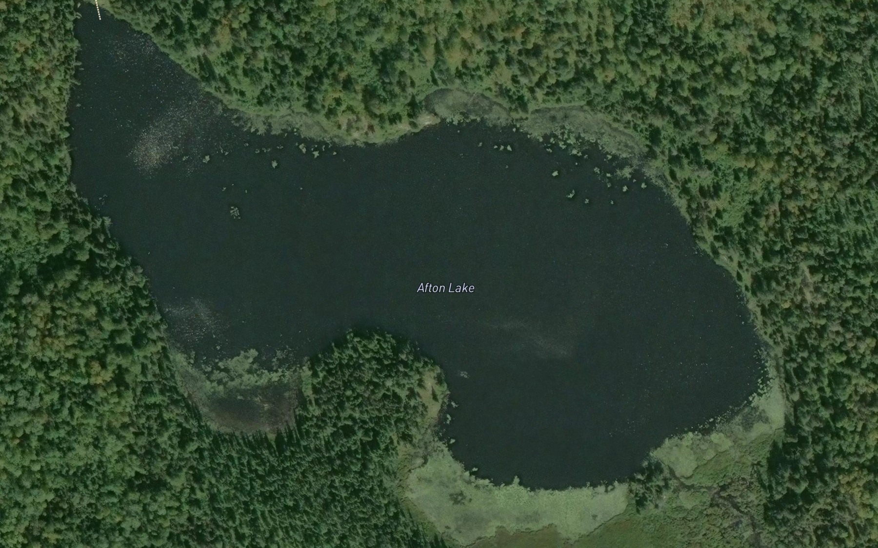 Satellite map of the Afton Lake