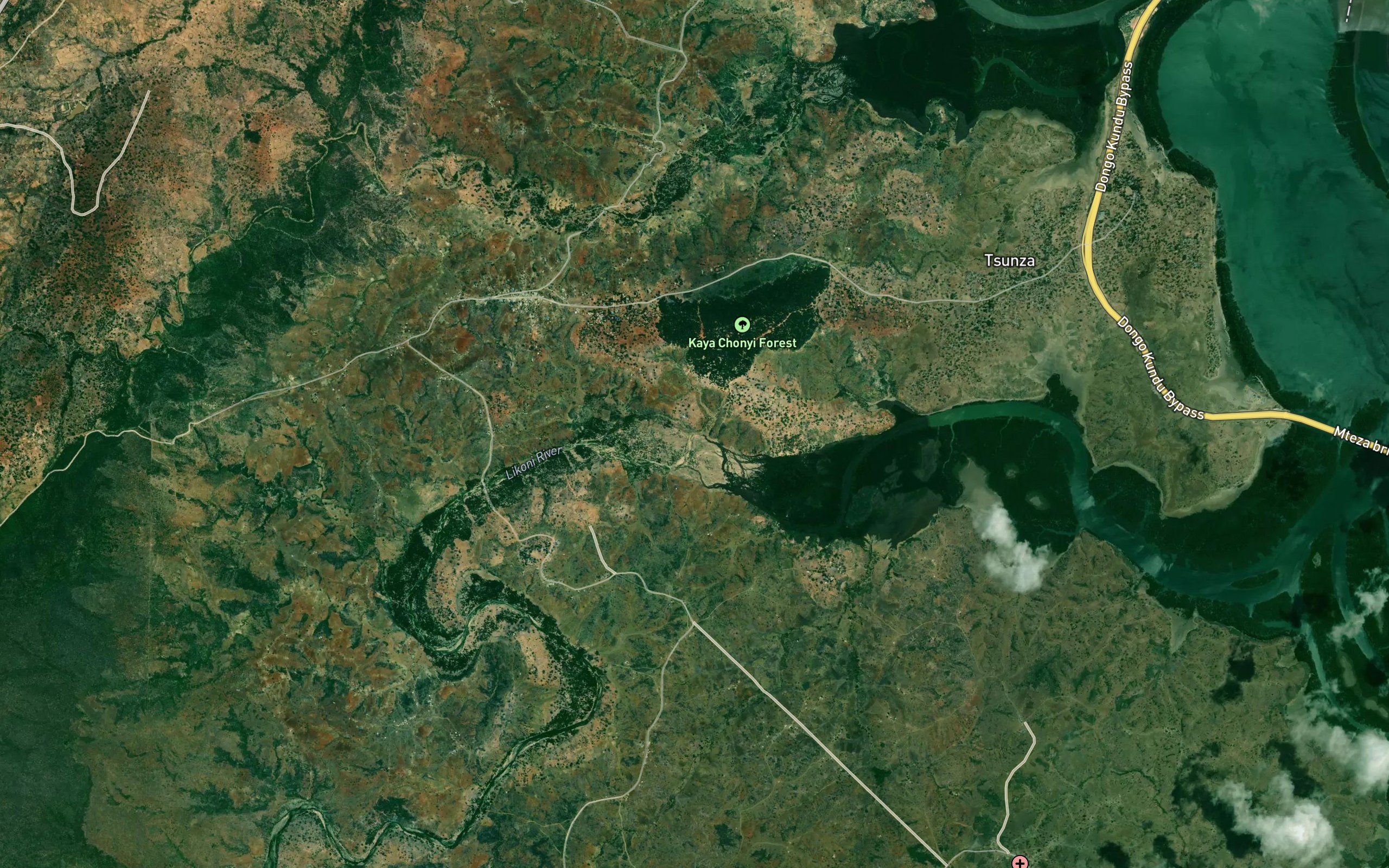 Shimba