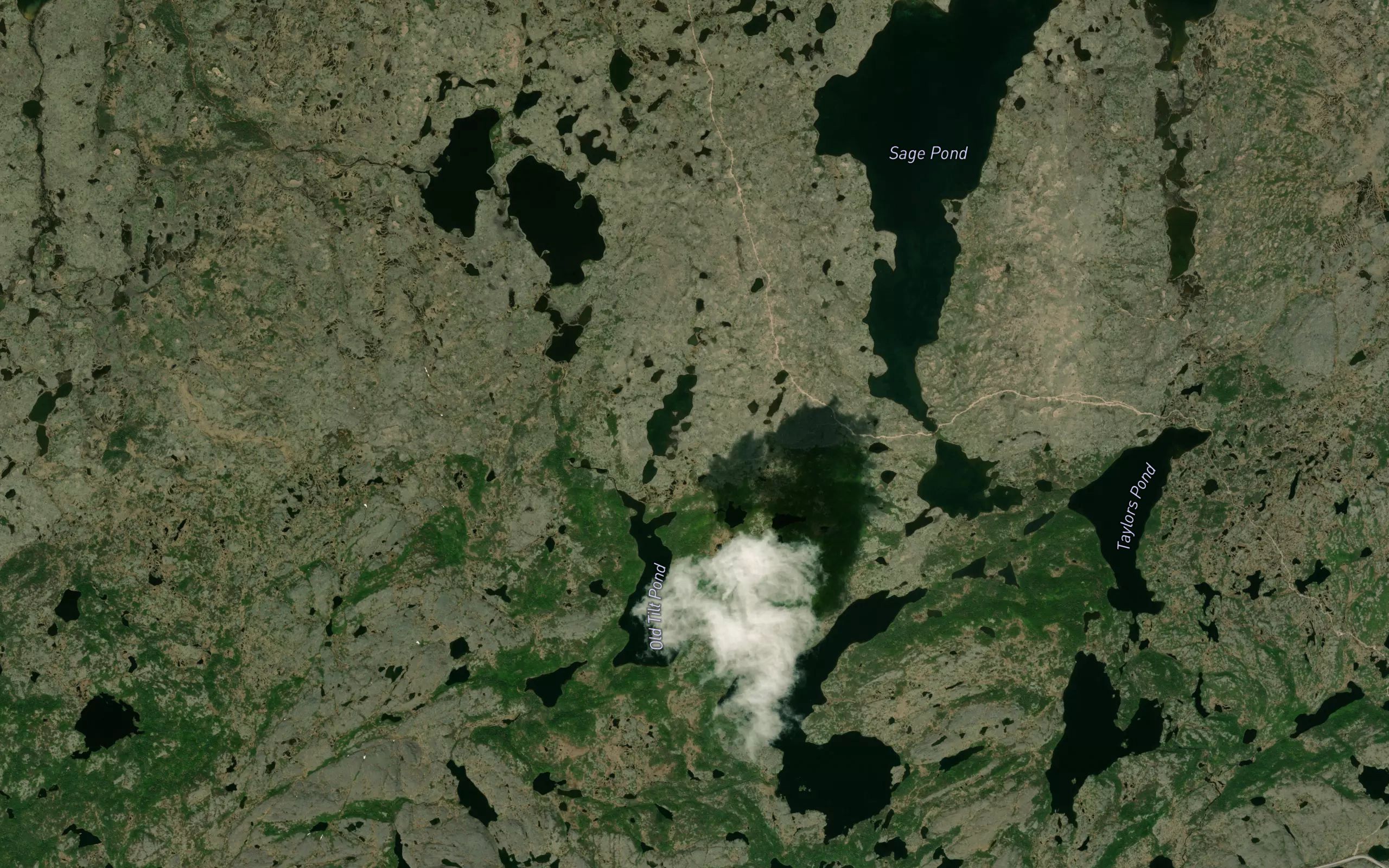 Tilt Pond
