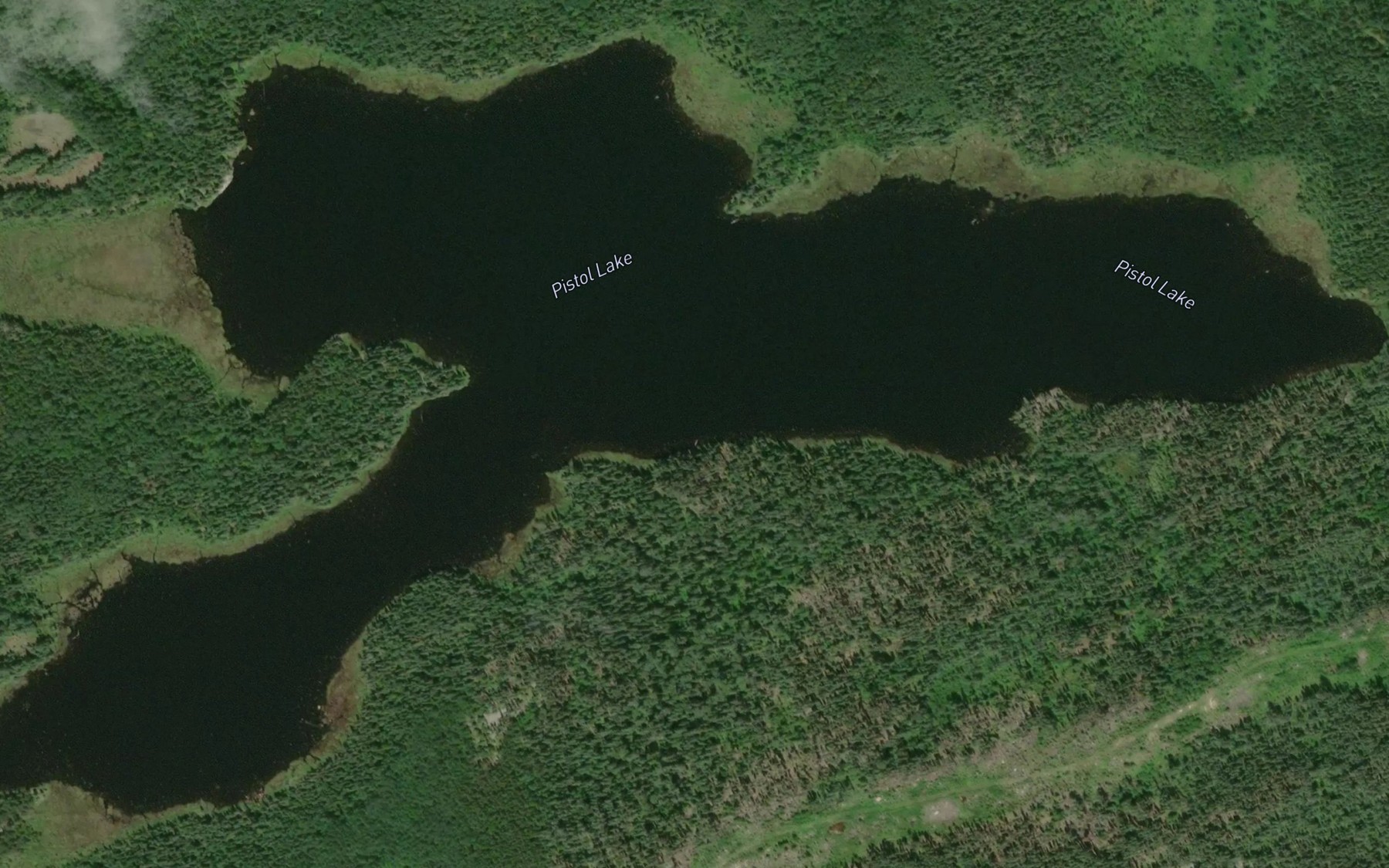 Satellite map of the Pistol Lake
