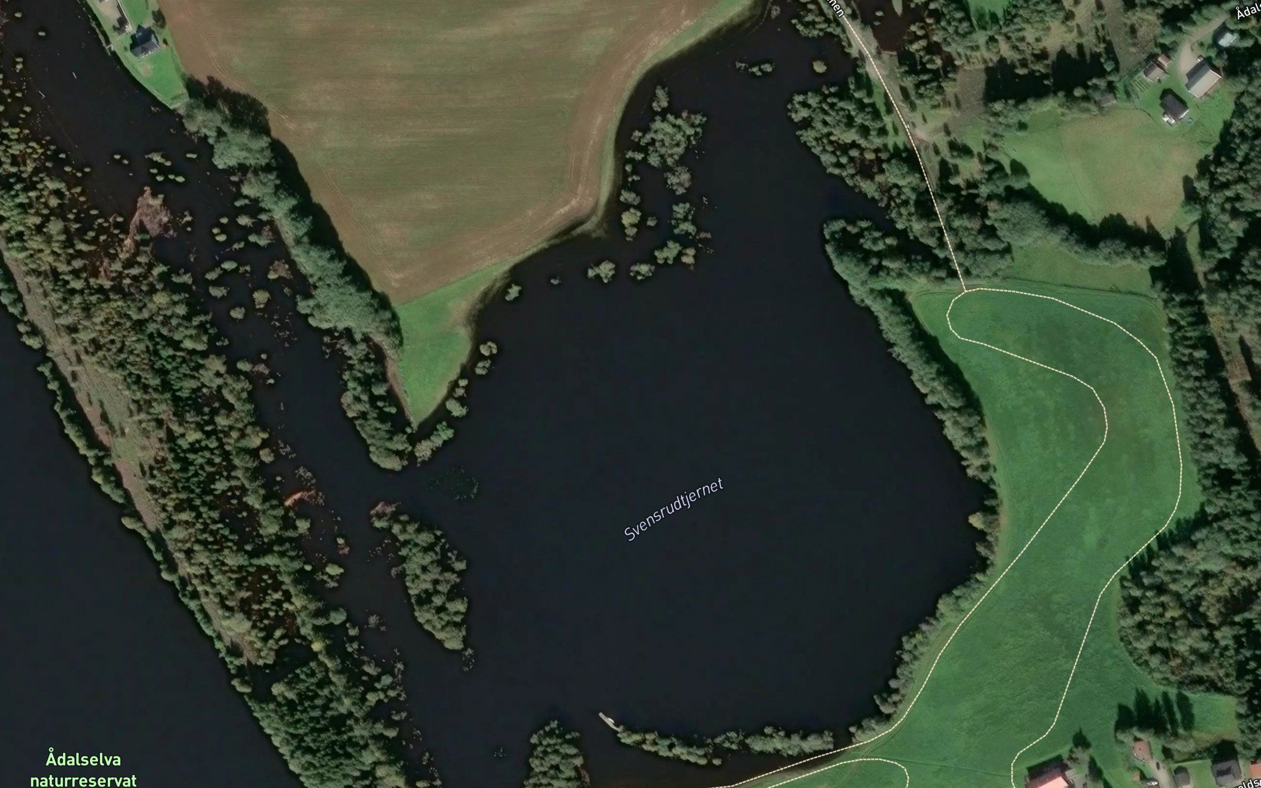 Svensrudtjernet