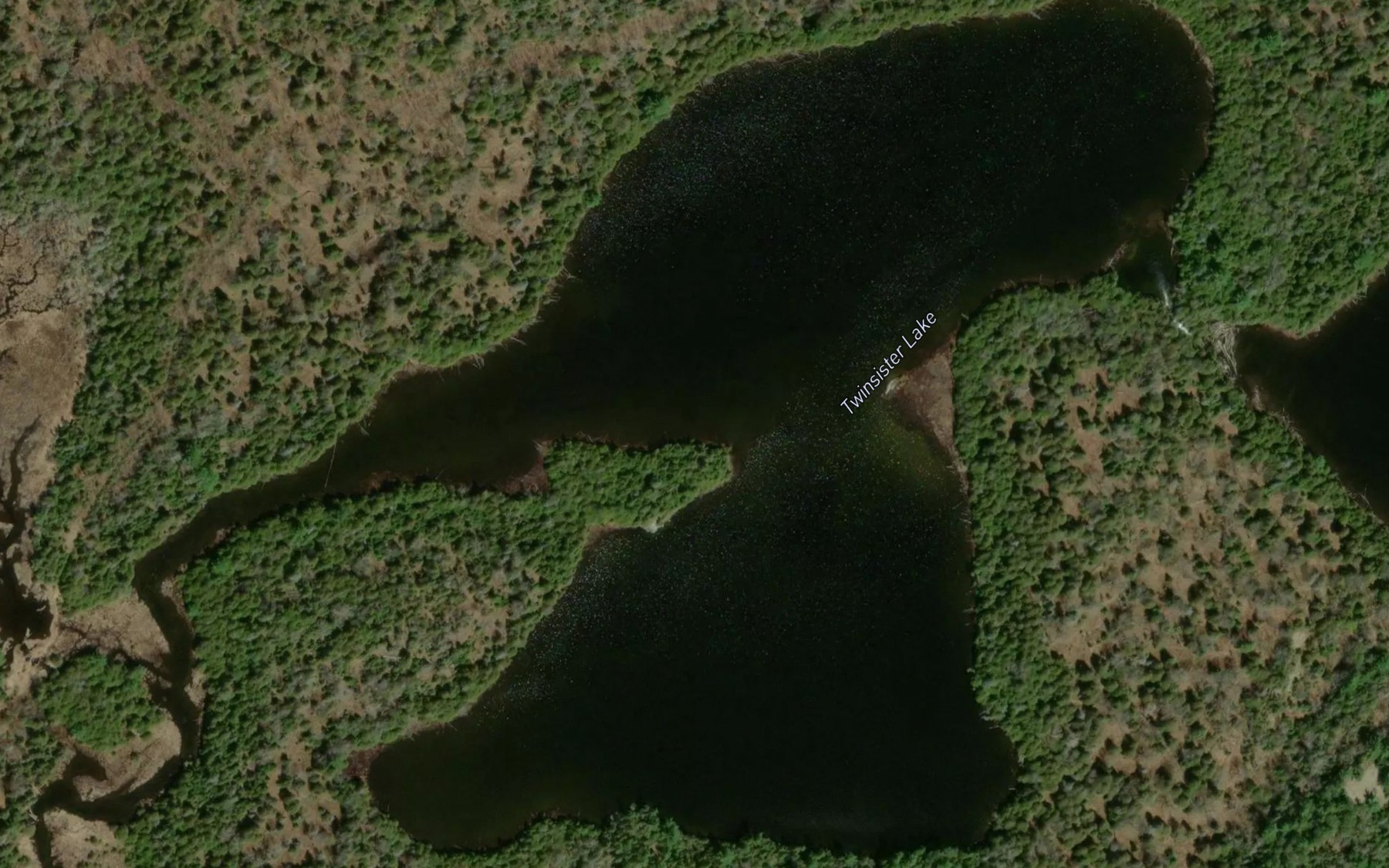 Satellite map of the Twinsister Lake