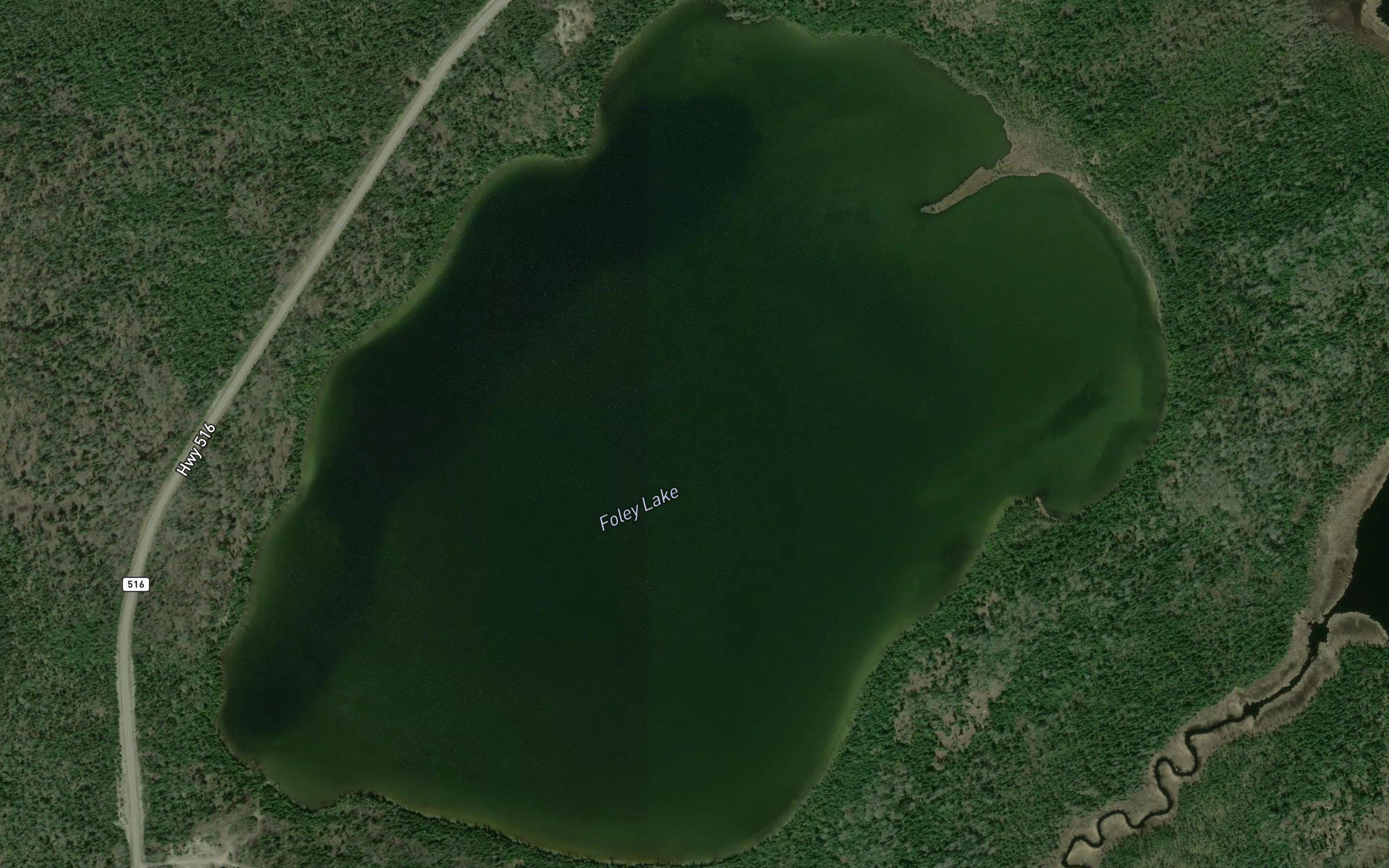 Foley Lake