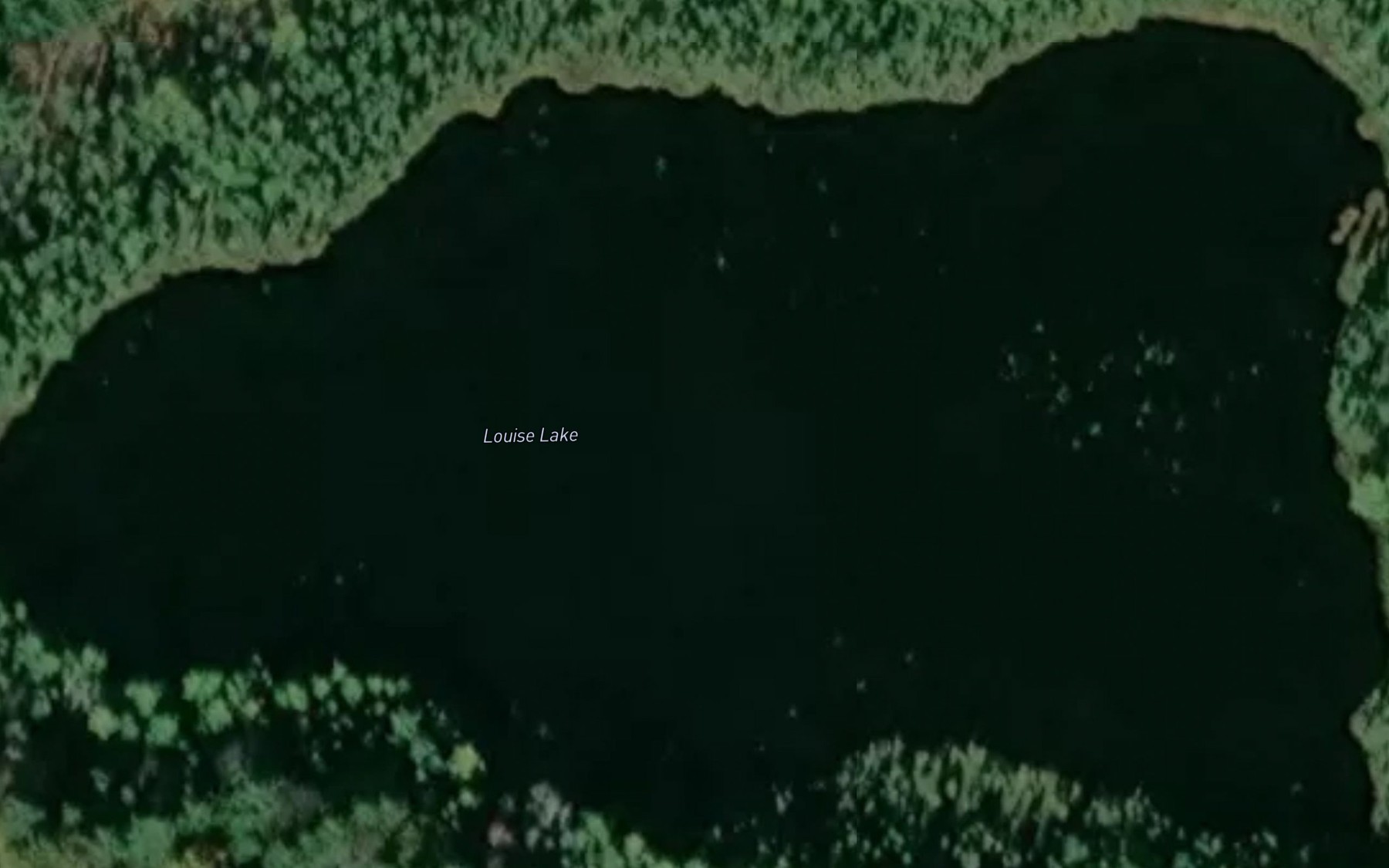 Satellite map of the Louise Lake