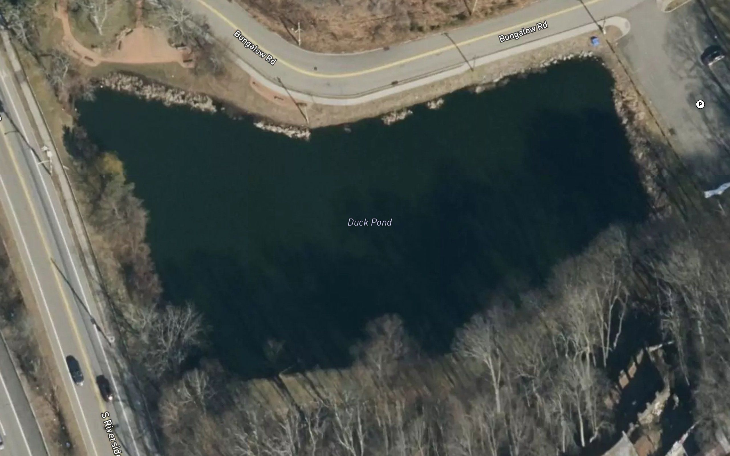 Duck Pond
