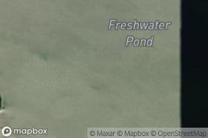 Freshwater Pond