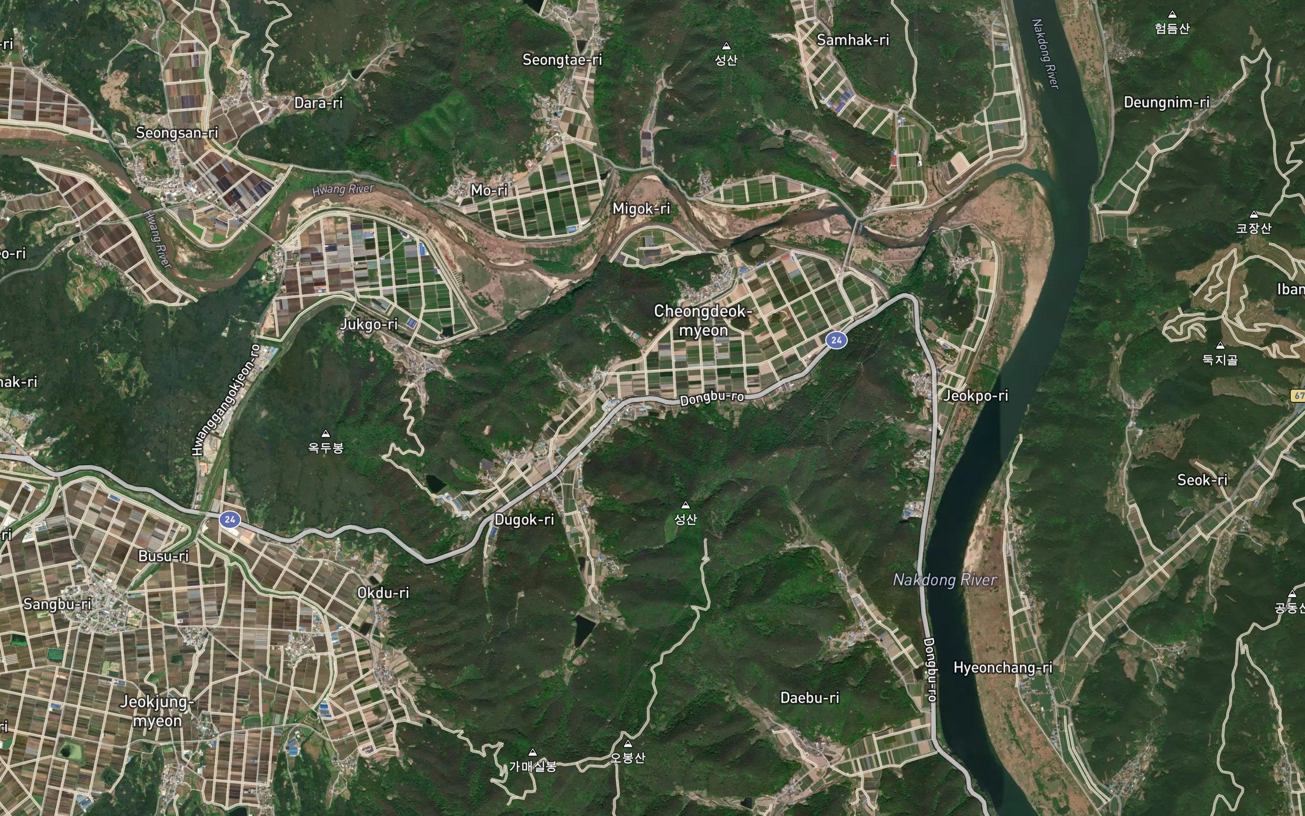 Junghoemot