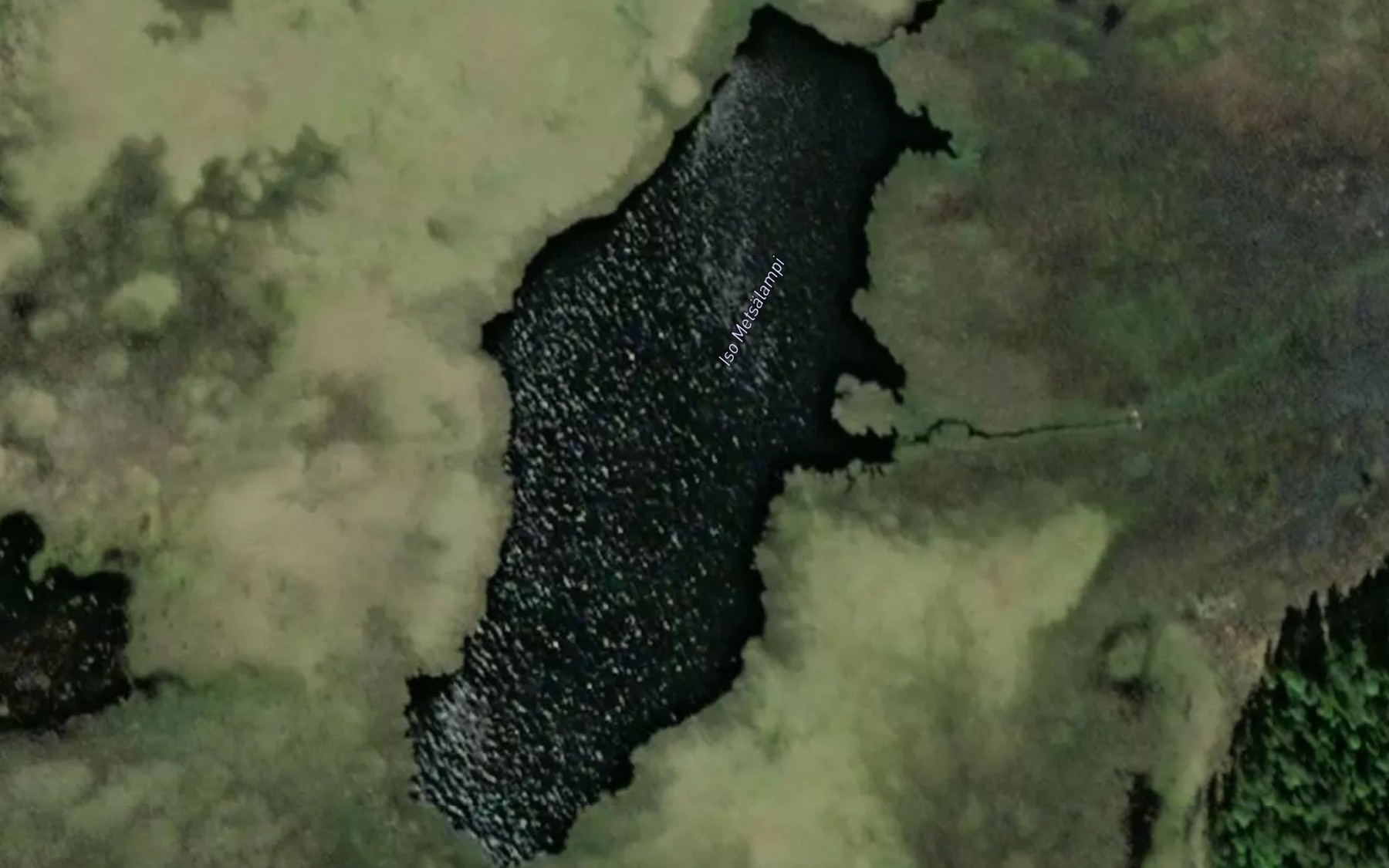 Satellite map of the Iso Metsalampi