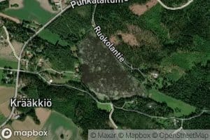 Ruokojarvi