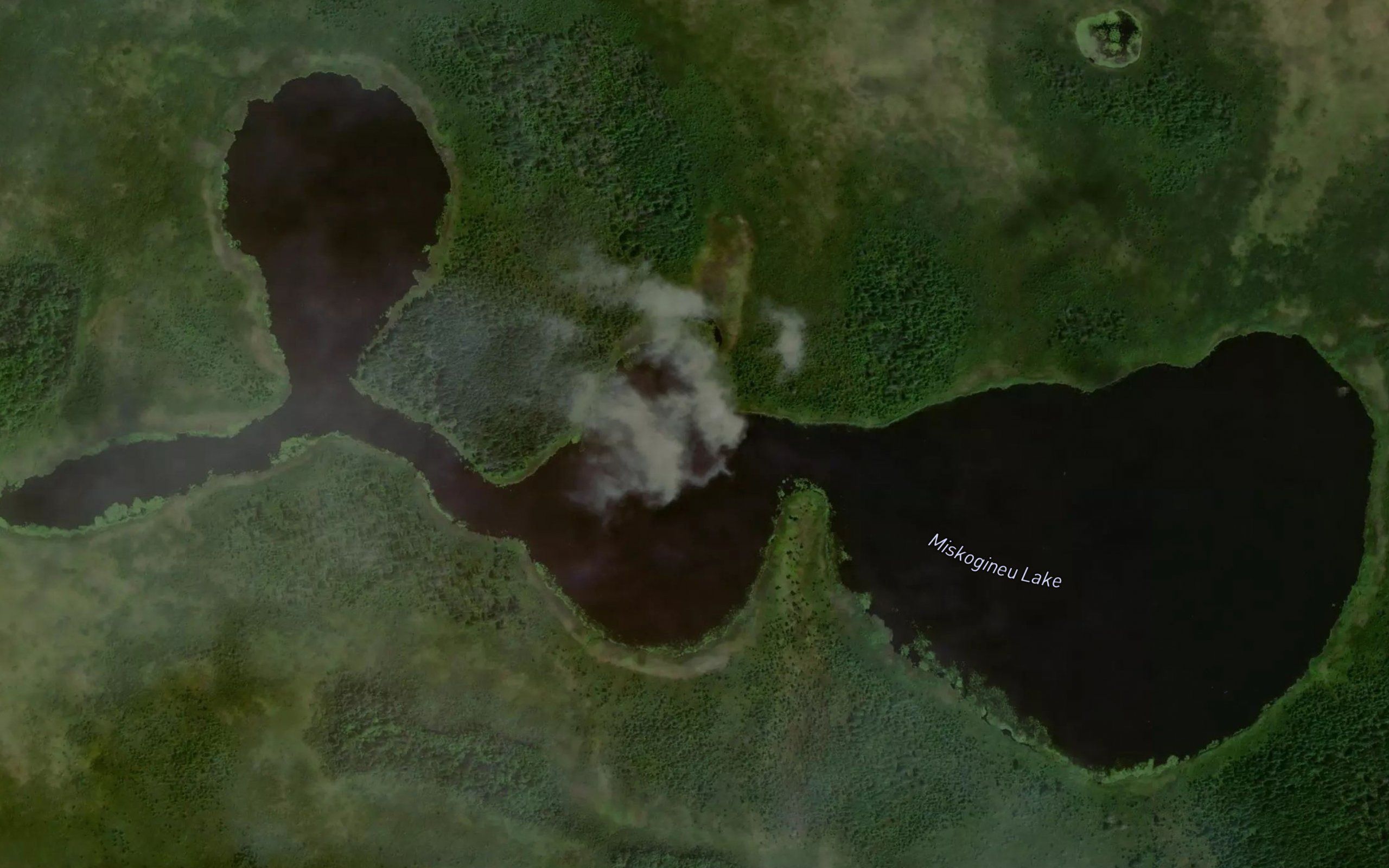 Miskogineu Lake