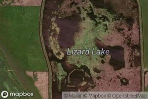 Lizard Lake