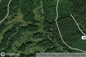 Layout Creek