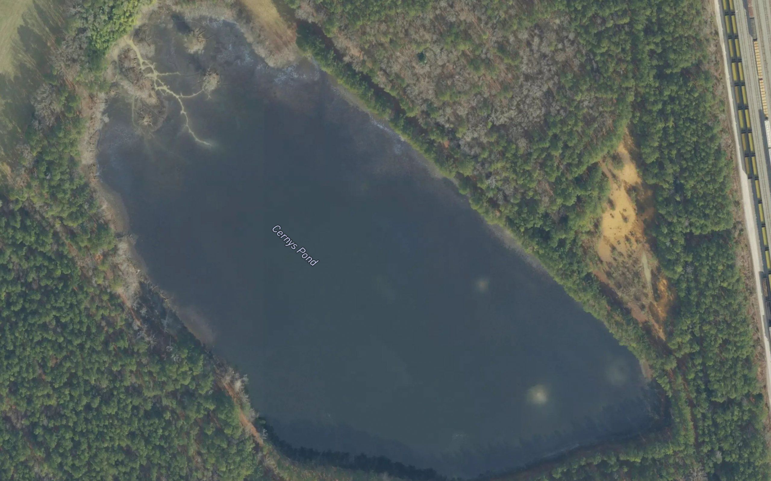 Cernys Pond
