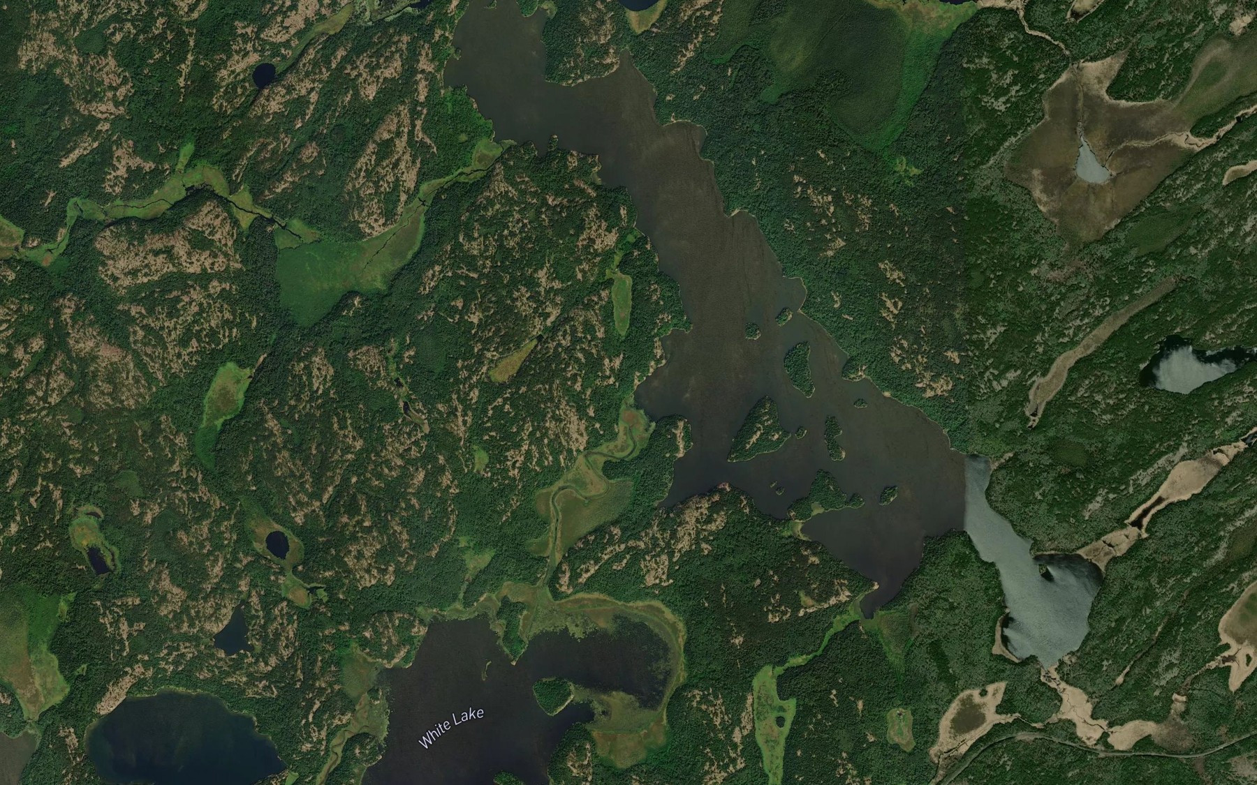 Satellite map of the Rice Creek