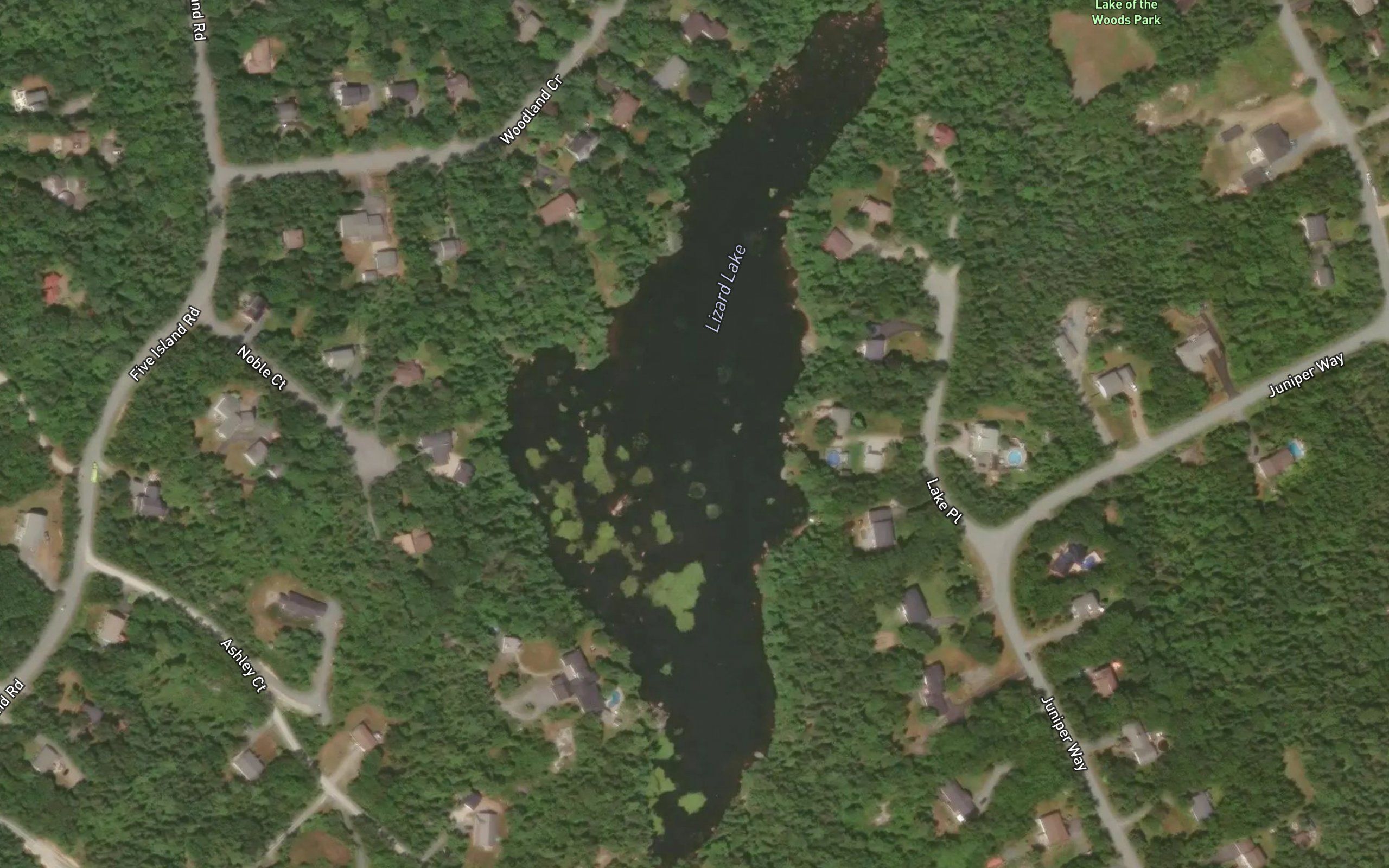 Lizard Lake