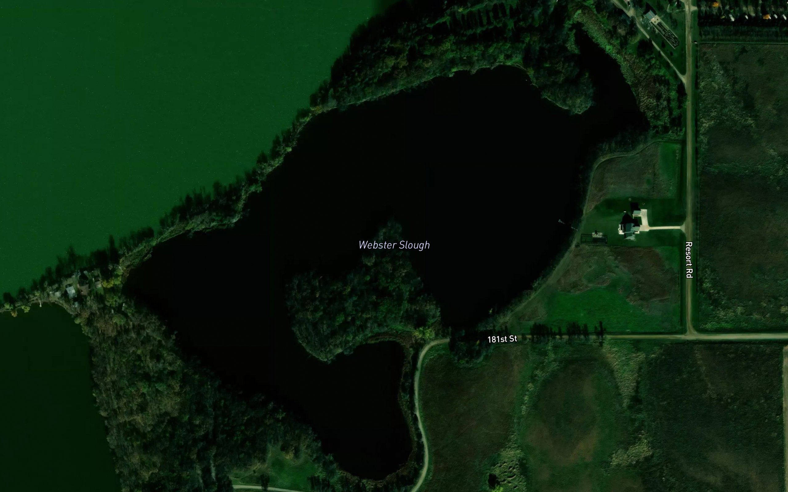 Webster Slough