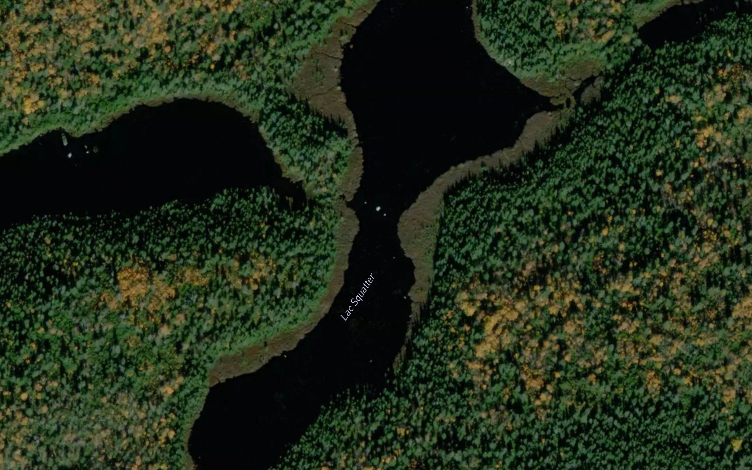 Lac Squatter