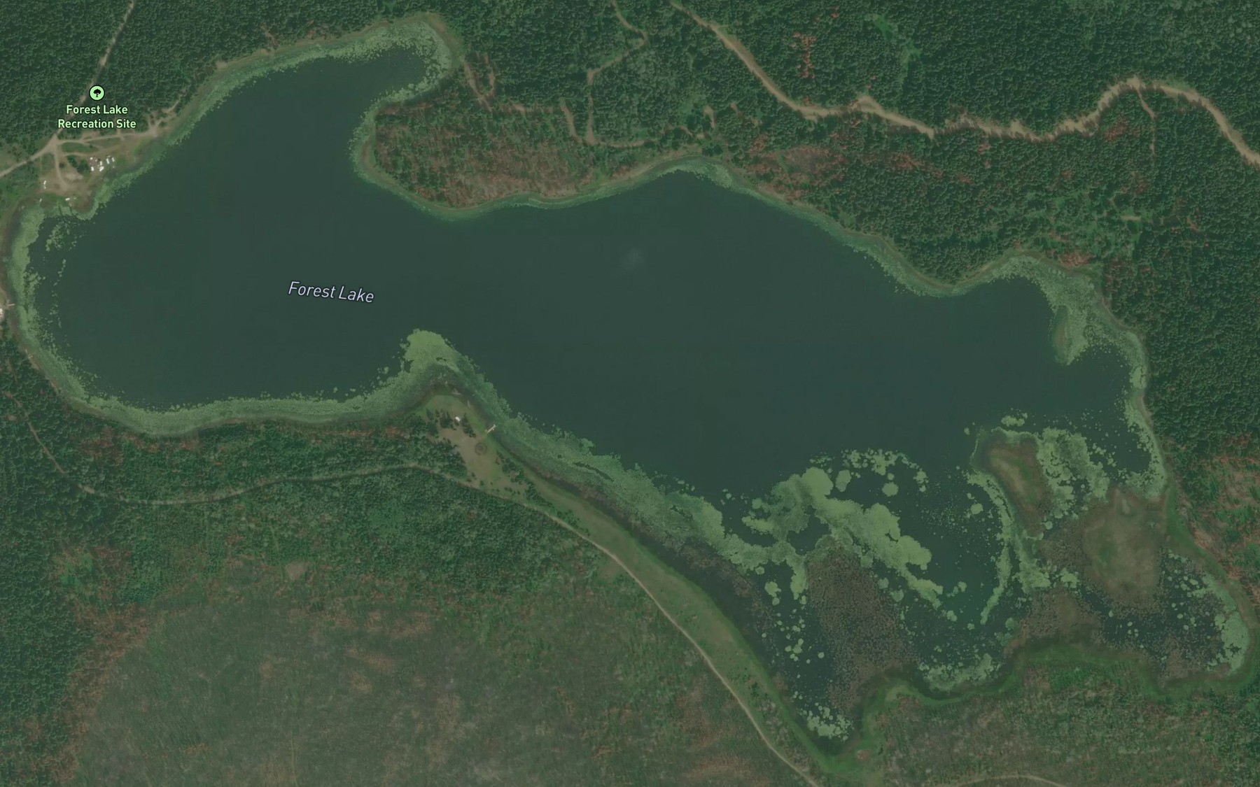 Satellite map of the Forest Lake