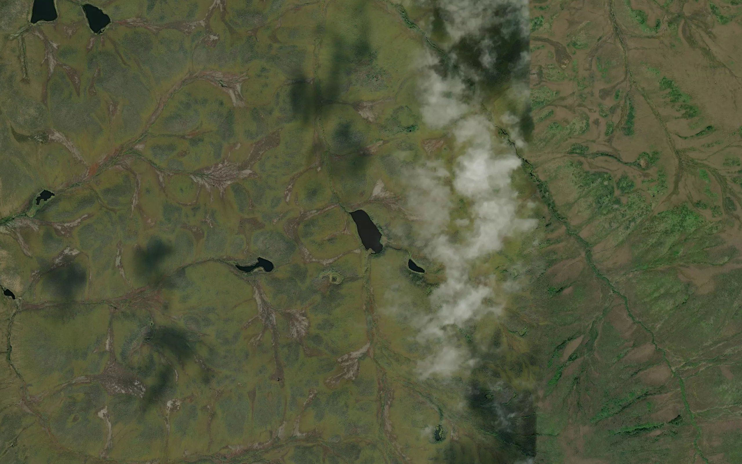 Duck Lake