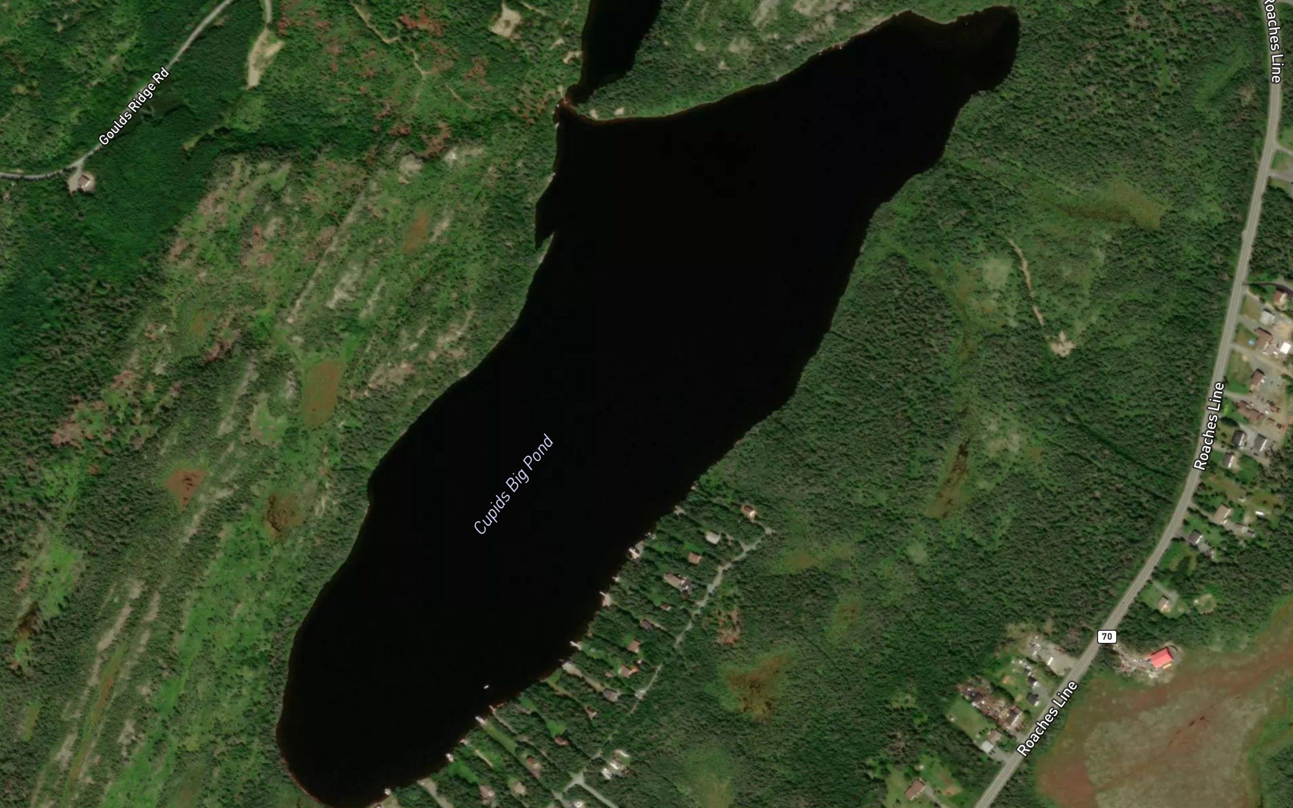 Cupids Big Pond