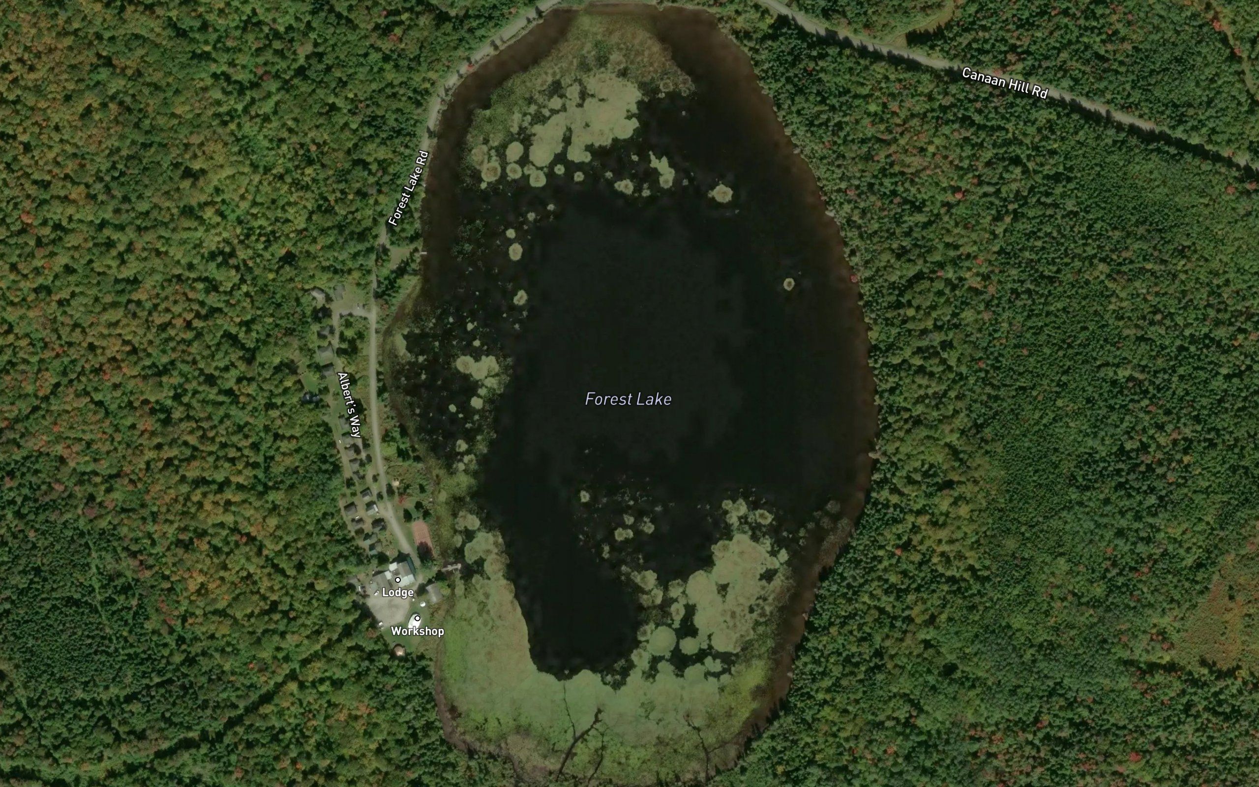 Forest Lake