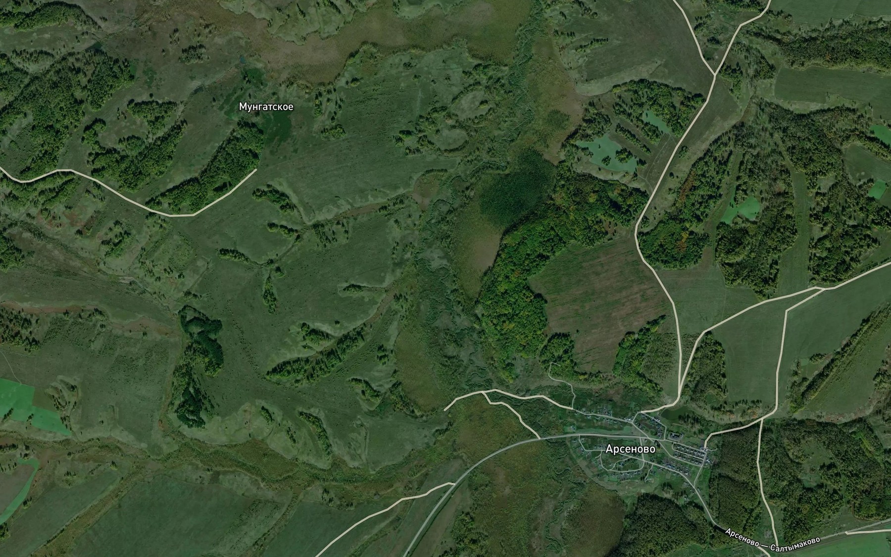 Satellite map of the Stepnaya