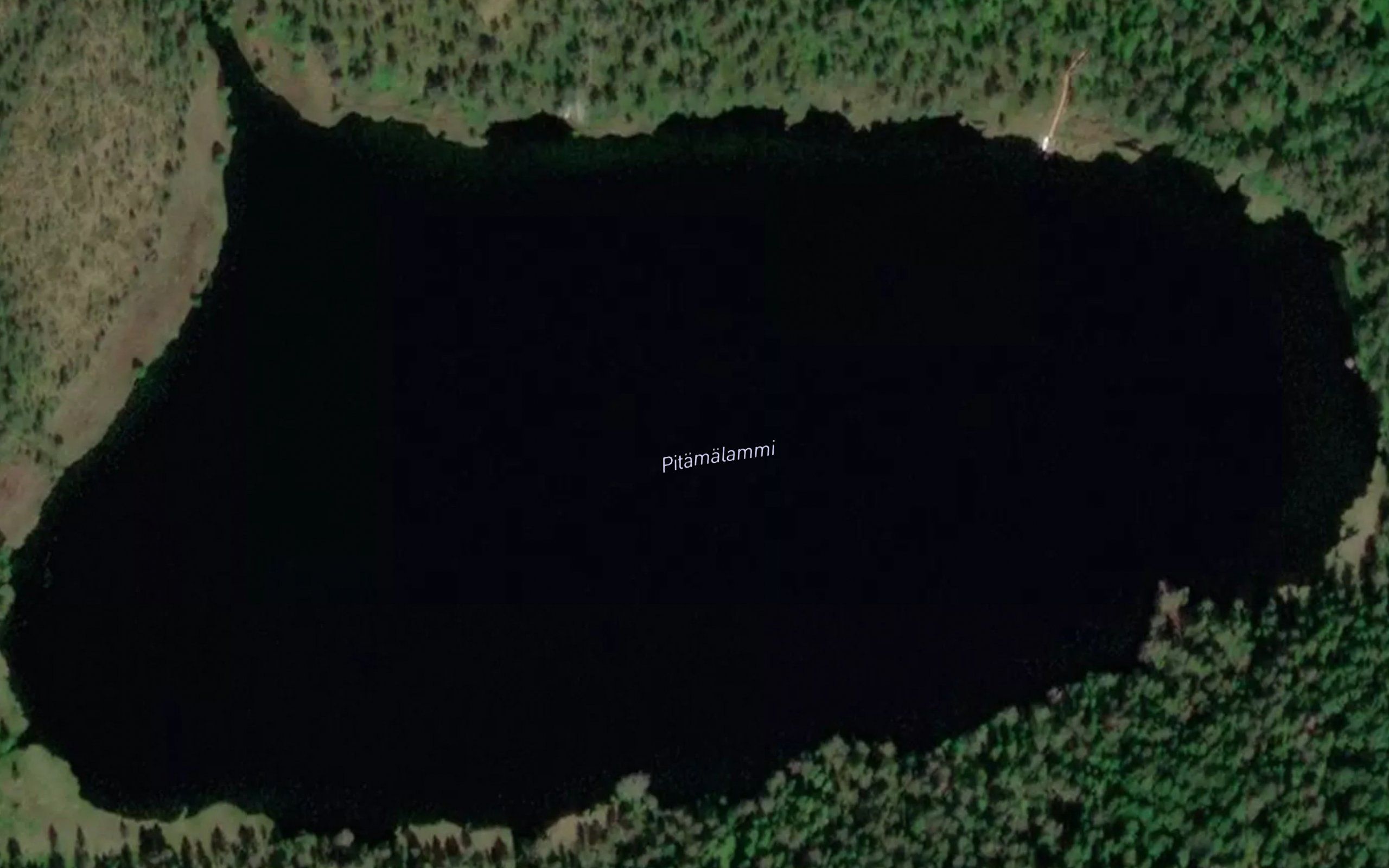 Pitamalammi