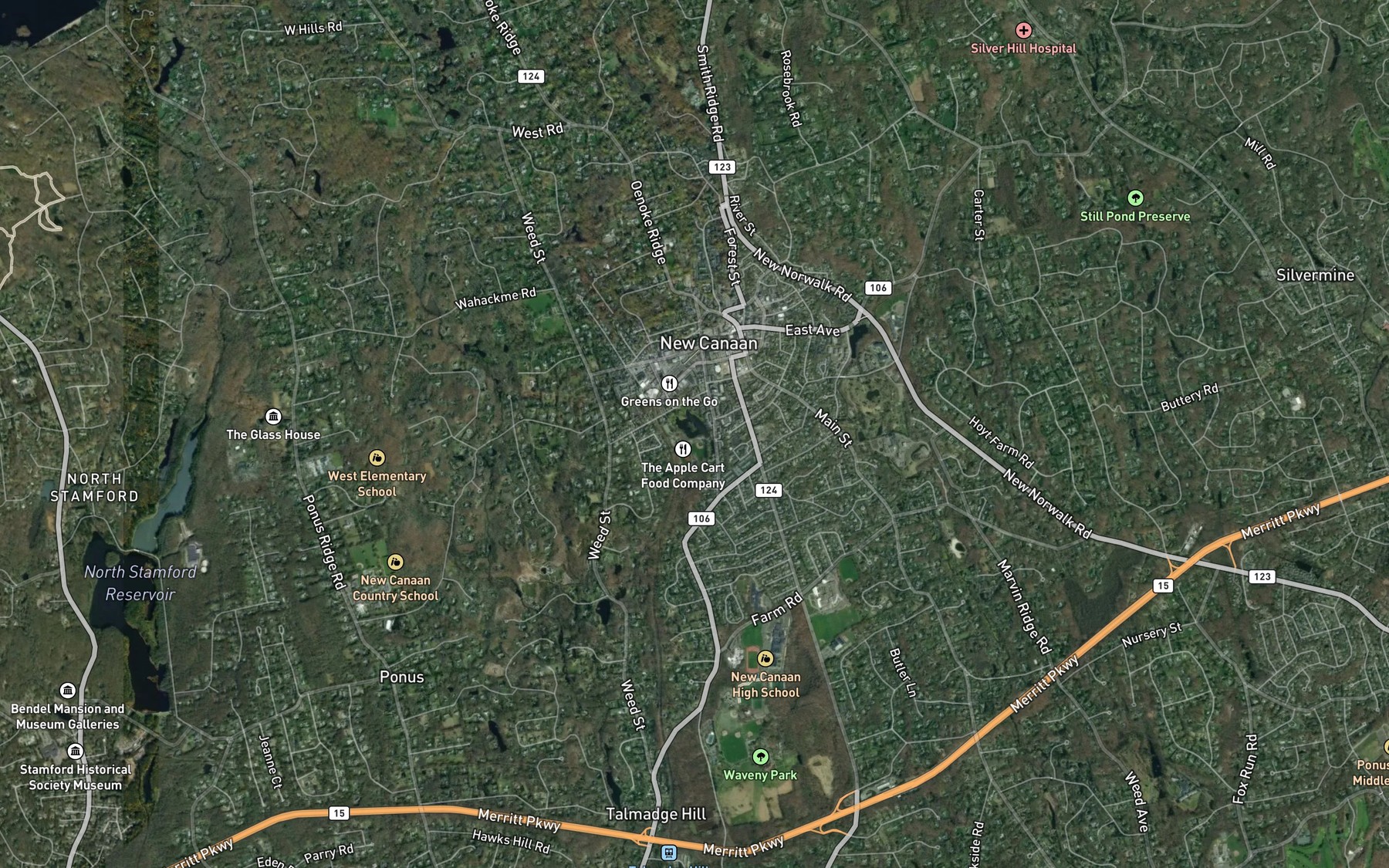 Satellite map of the Rockwell Swamp