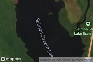 Salmon Stream Lake