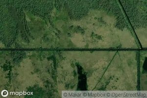 Louisiana Cypress Lumber Canal