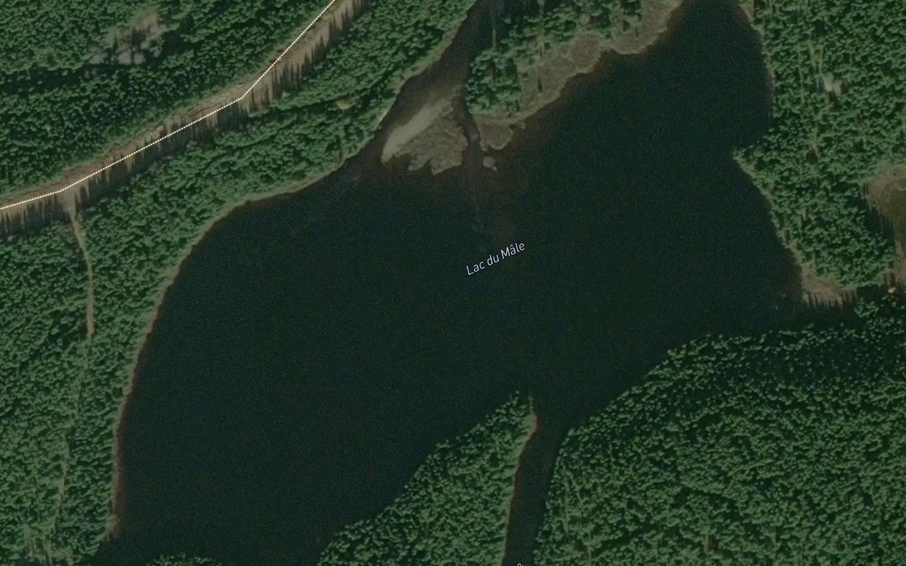 Satellite map of the Lac du Male
