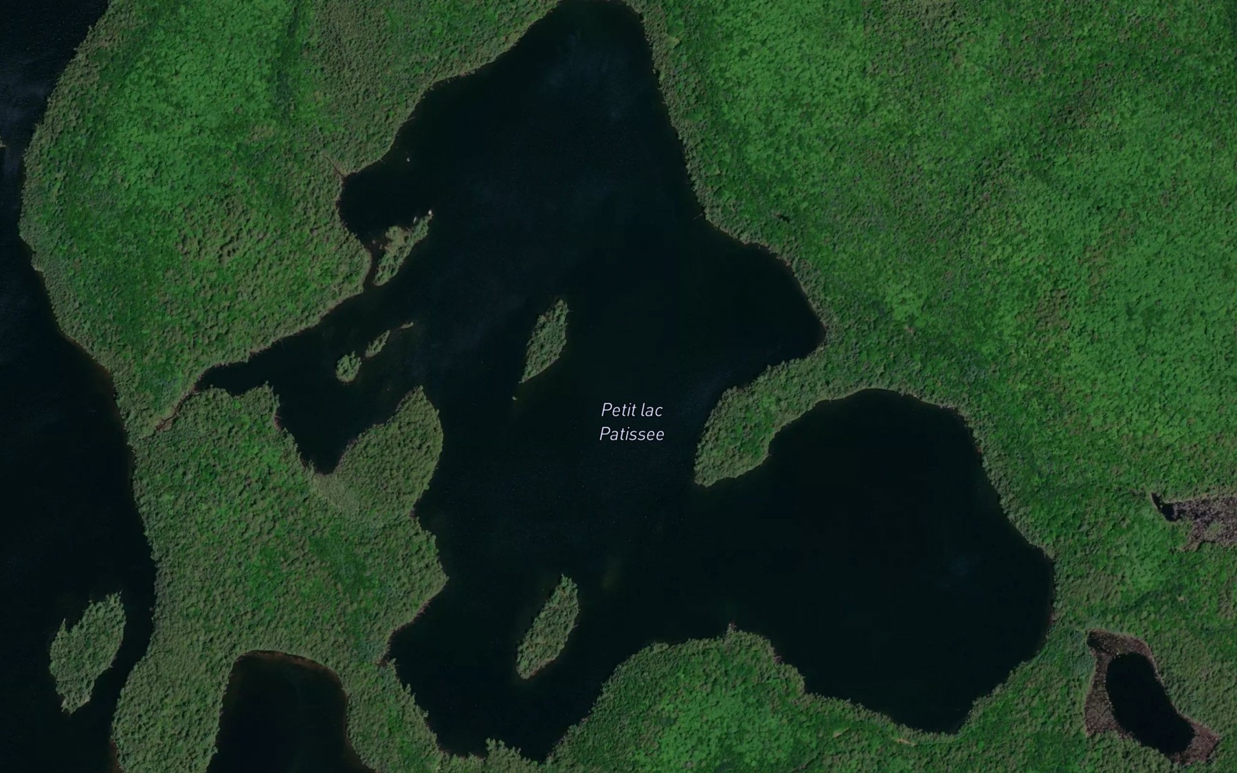 Satellite map of the Petit lac Patissee