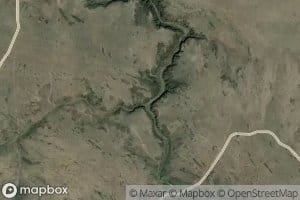 Chipmunk Creek