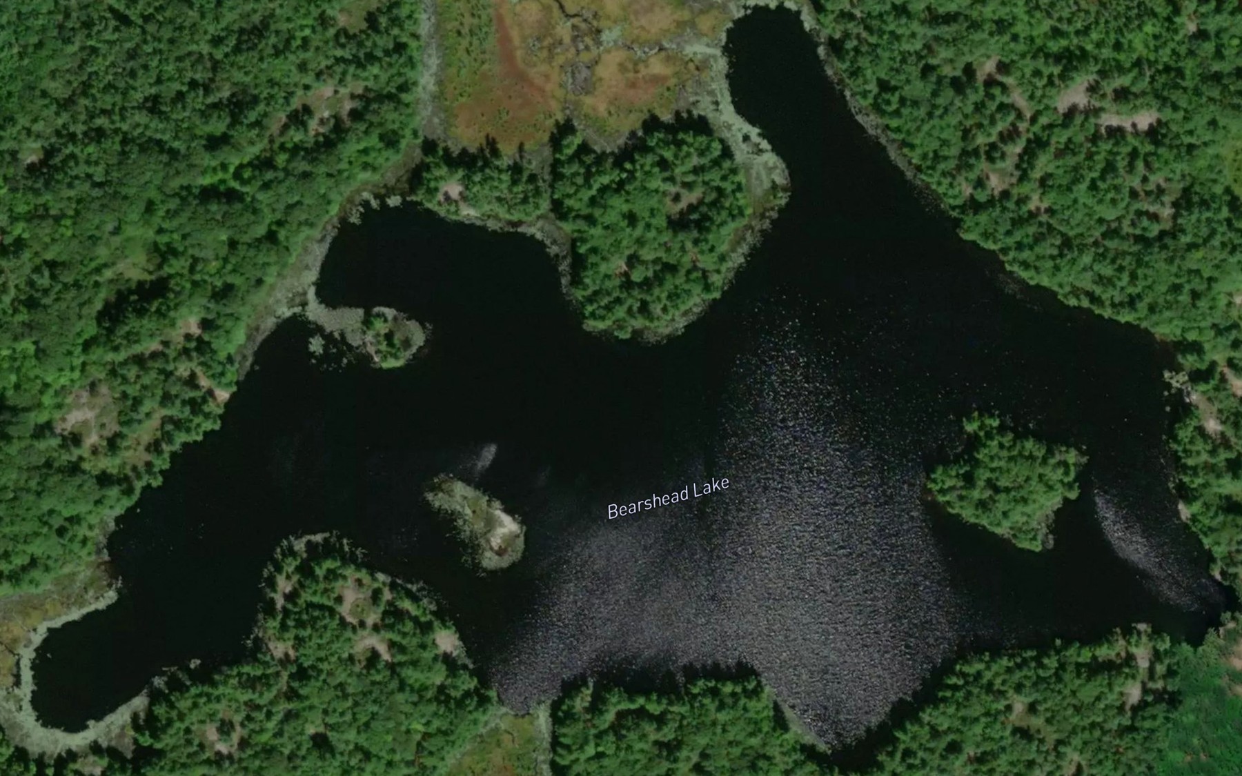 Satellite map of the Bearshead Lake
