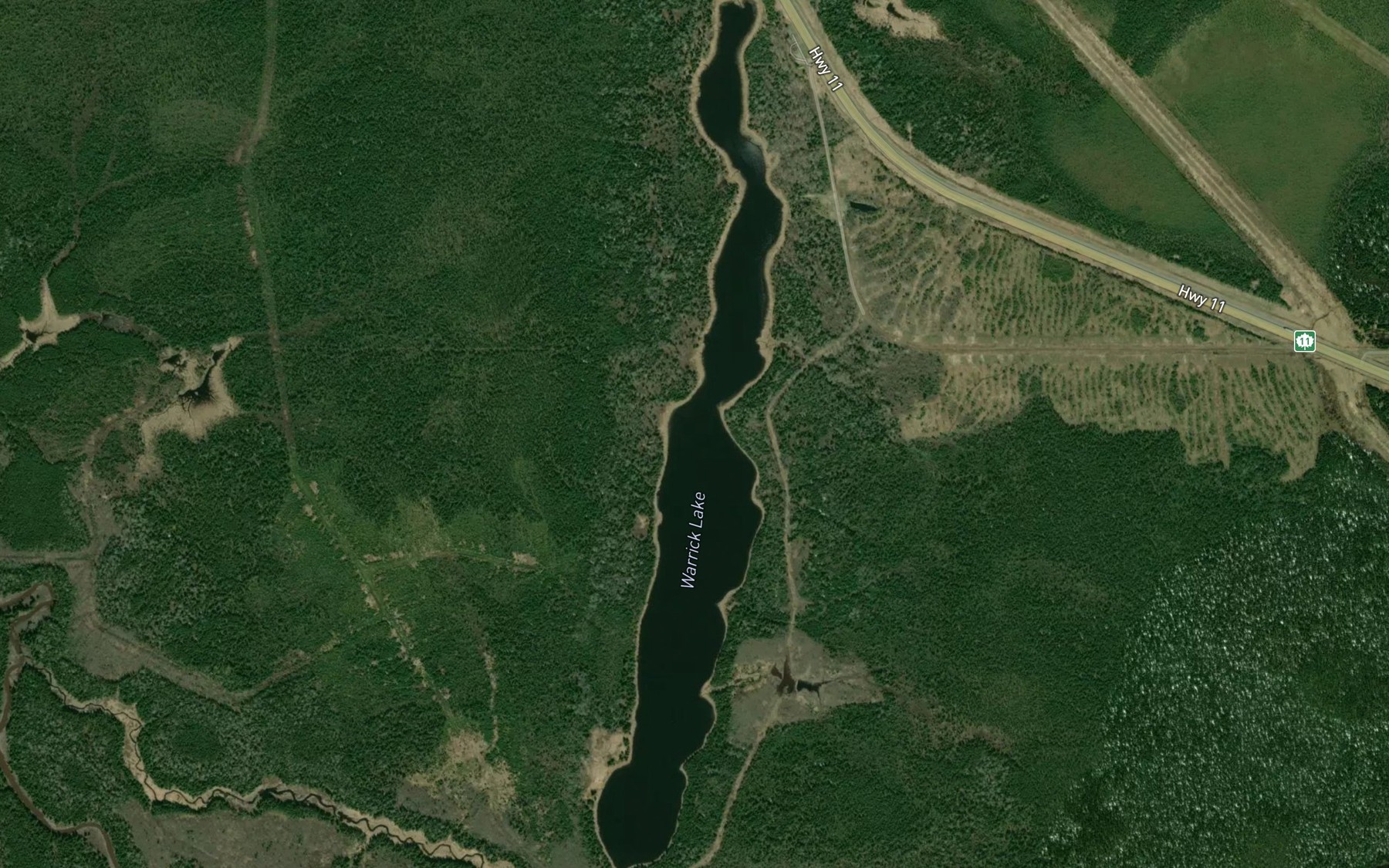 Satellite map of the Warrick Lake