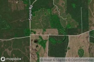 Doe Ponds