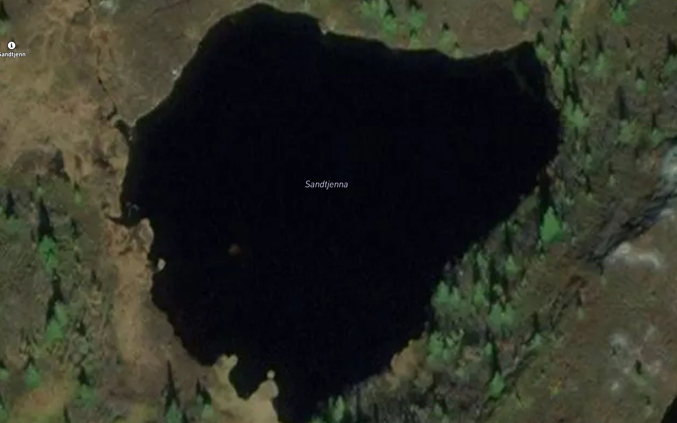 Sandtjerna