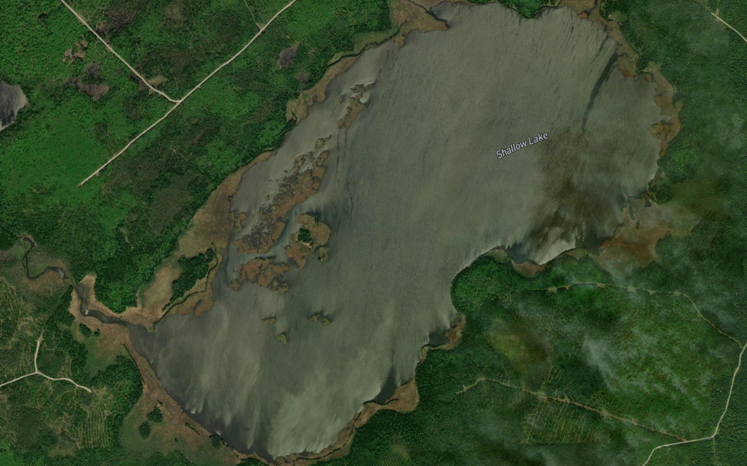 Shallow Lake