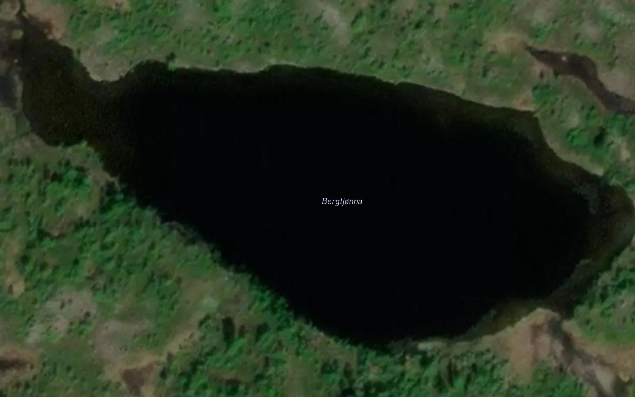 Bergtjonna