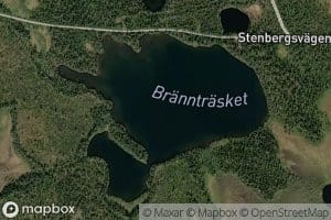 Braenntraesket