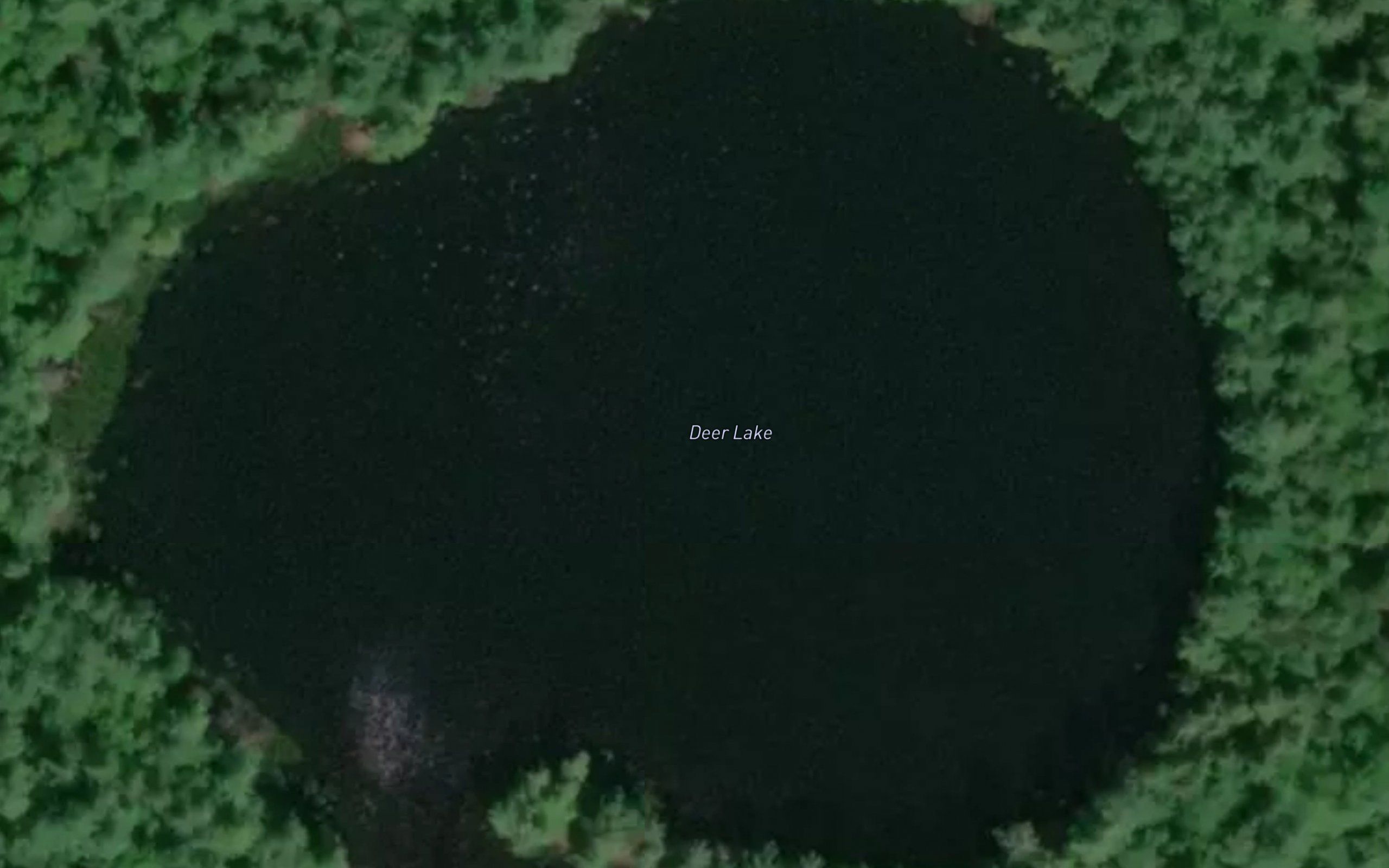 Deer Lake