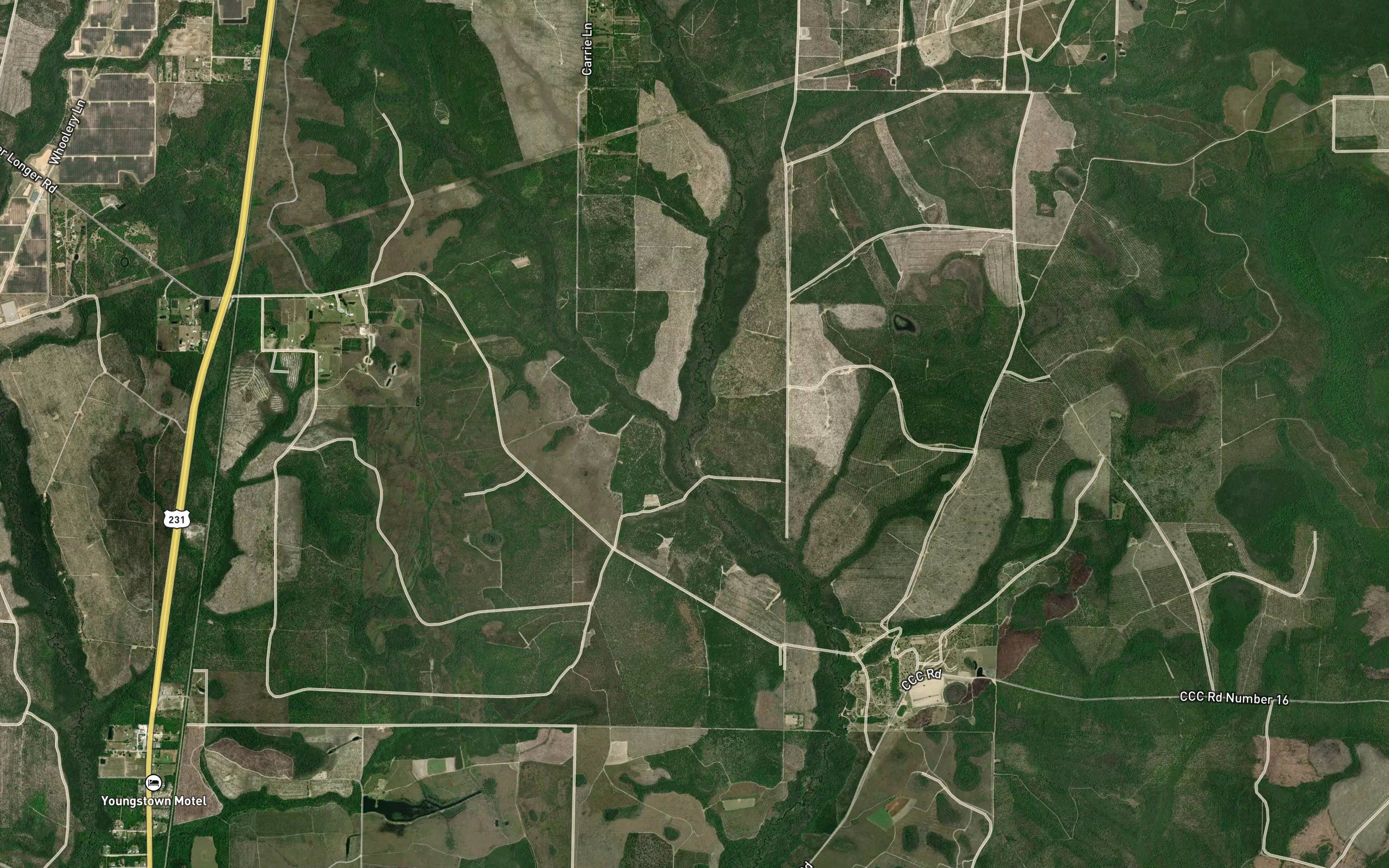 Reedy Creek