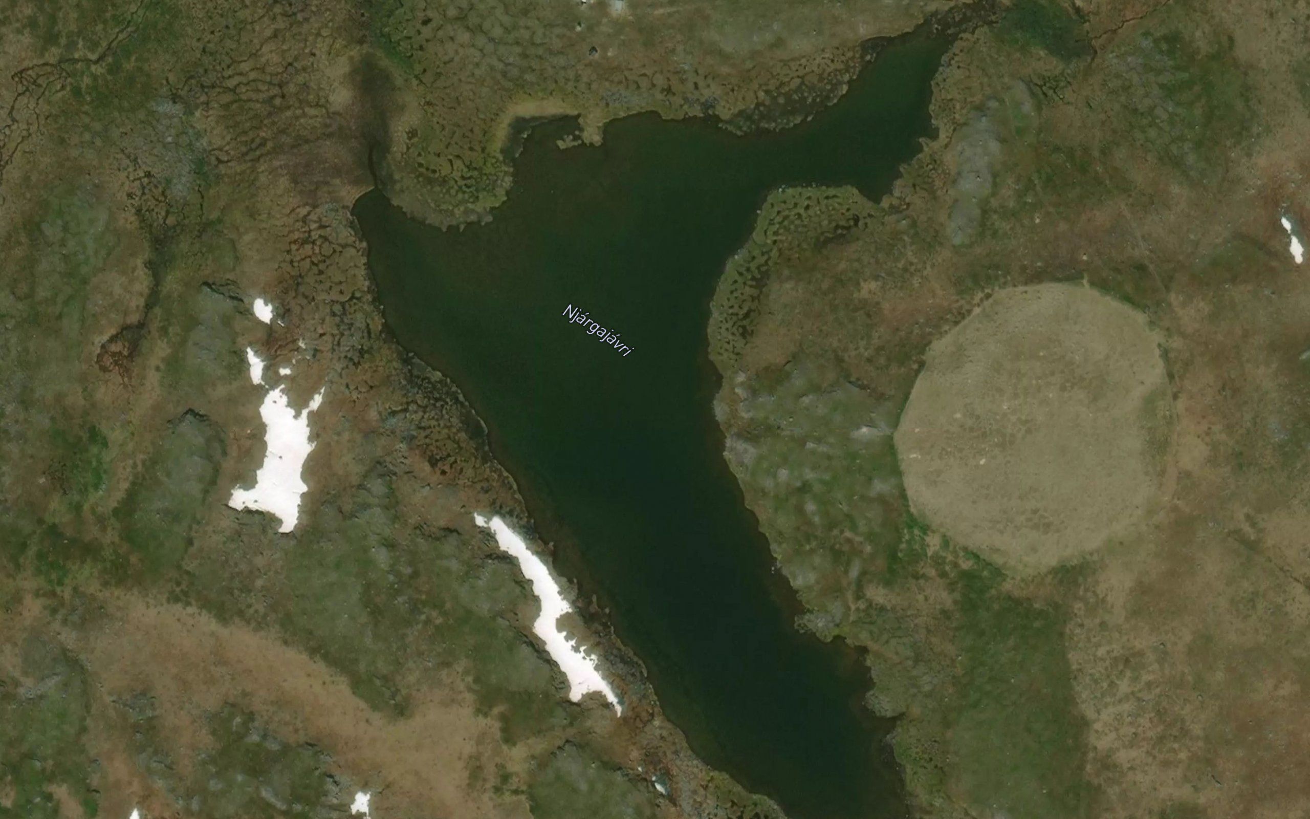 Njargajavri