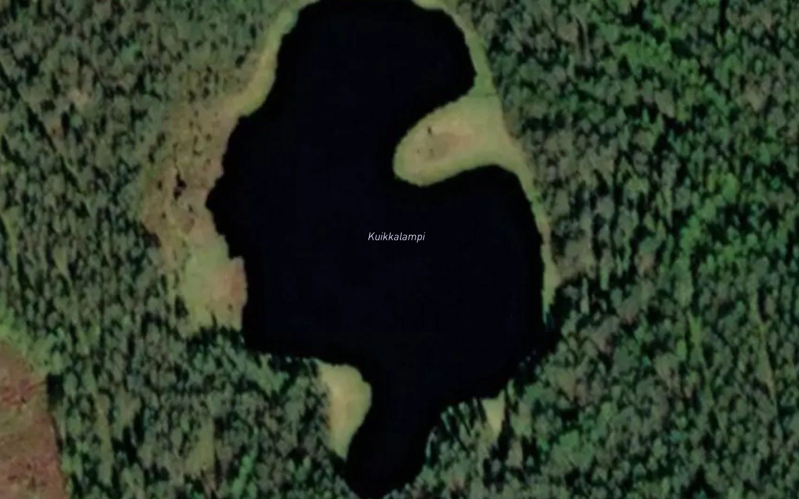 Kuikkalammit