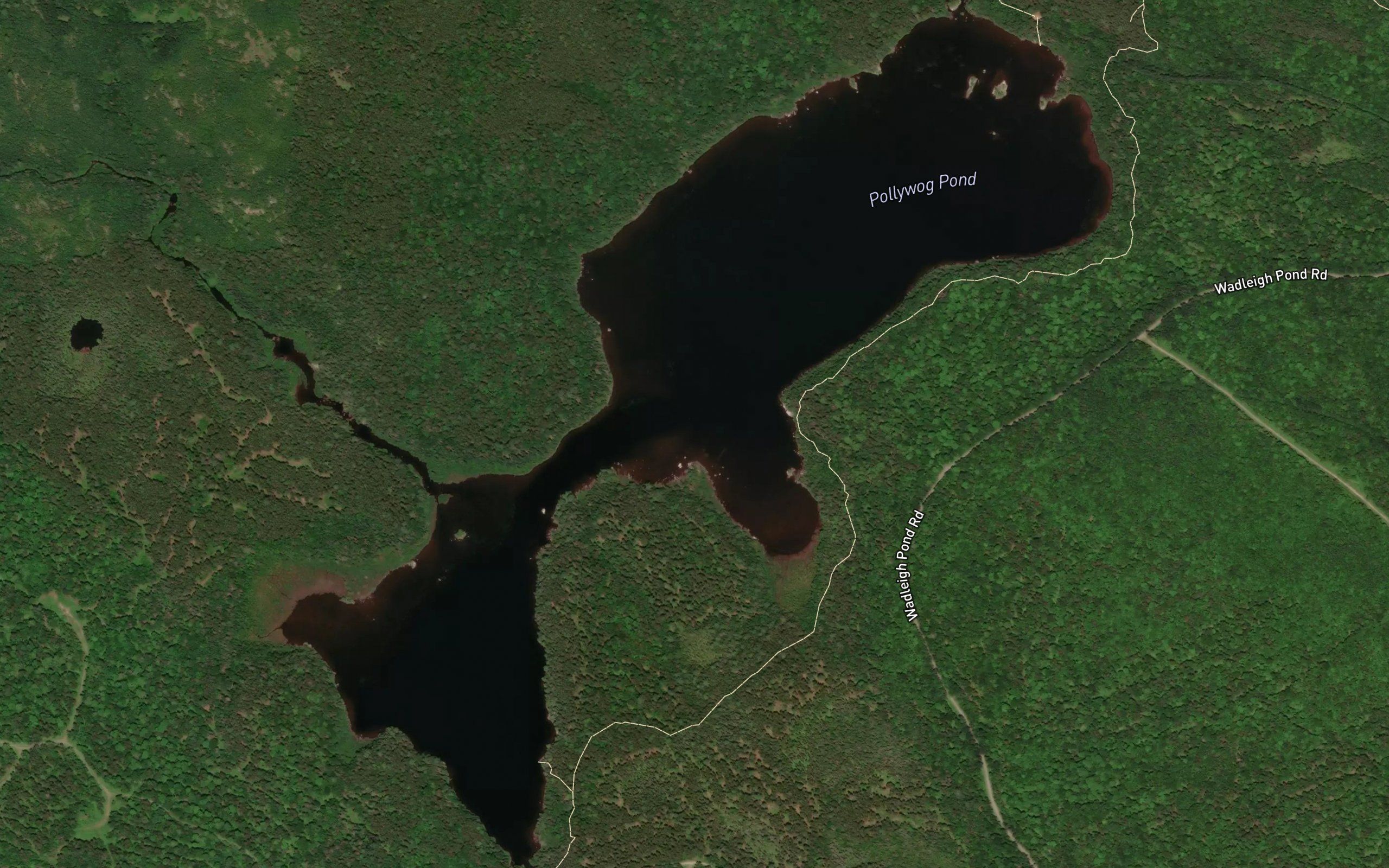 Pollywog Pond